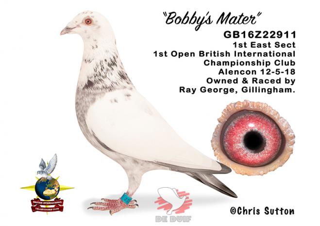 GB16Z22911 "Bobby's Mater"