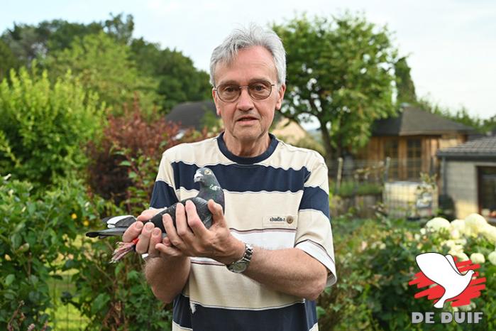 Georges Constant uit het Waalse Romsée wint Limoges bij de jaarse duiven.