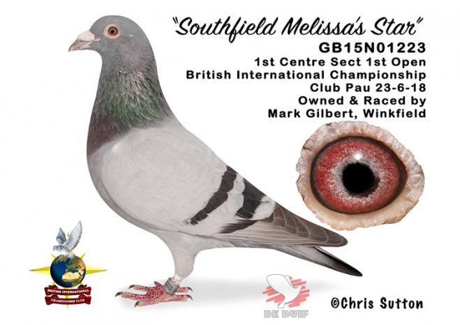 GB15N01223 “Southfield Melissa's Star”