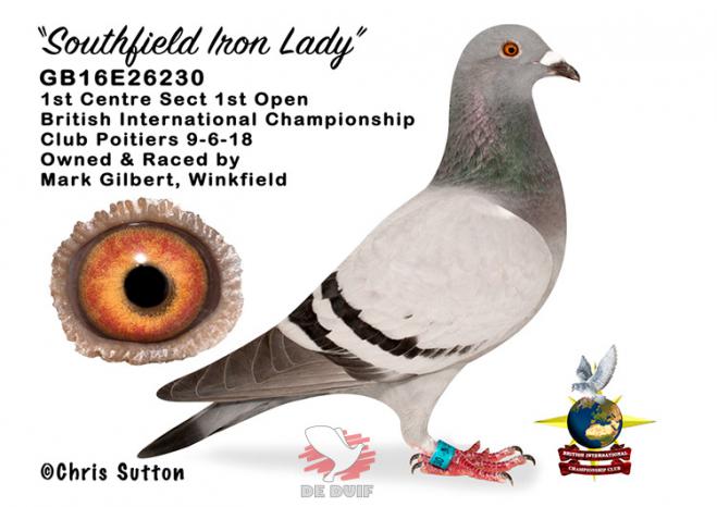 GB16E26230 "Southfield Iron Lady"