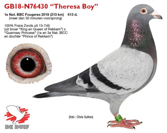 GB18-N76430 “Theresa Boy”