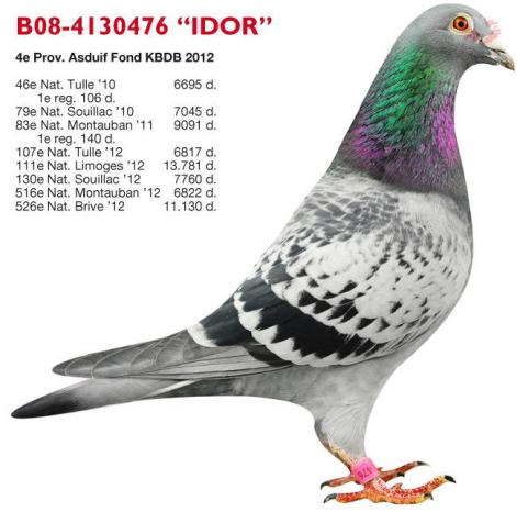  B08-4130476 Idor