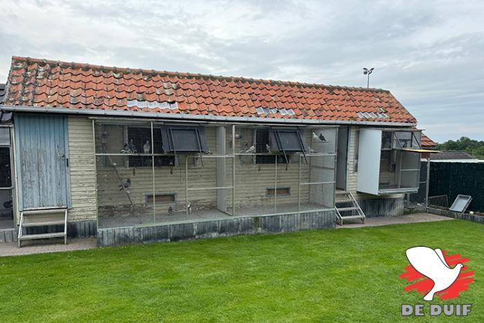 De hokken van Hermans-Bonne in Loksbergen.