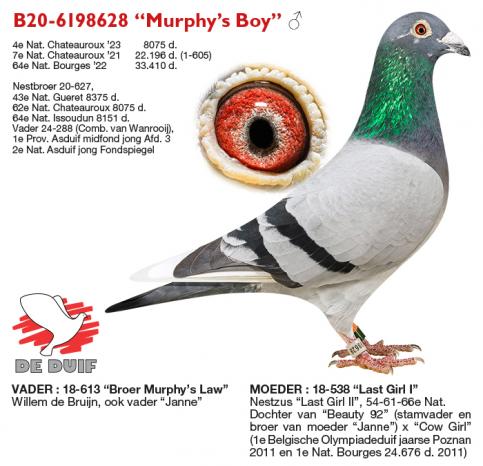 B20-6198628 “Murphy’s Boy”