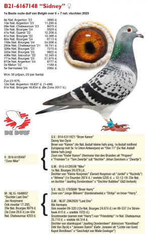 B21-6167148 “Sidney”