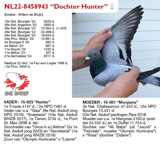 NL22-8458943 “Dochter Hunter”