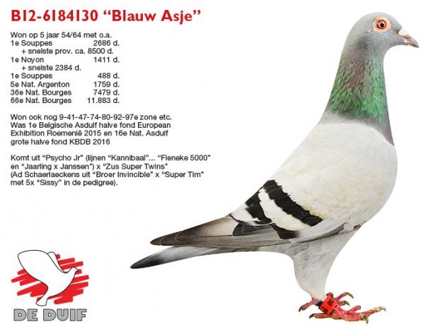 BE12-6184130 "Blauw Asje"