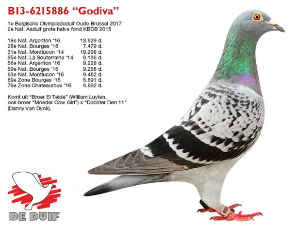 BE13-6215886 "Godiva"