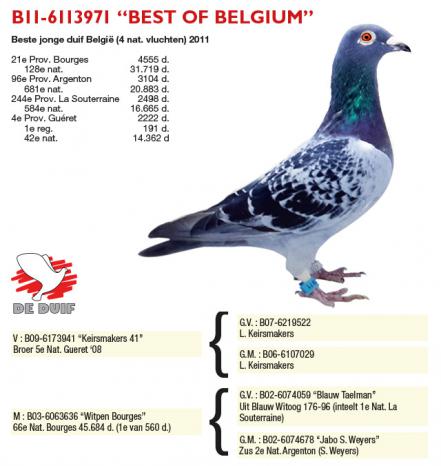 B11-6113971 "Best of Belgium"