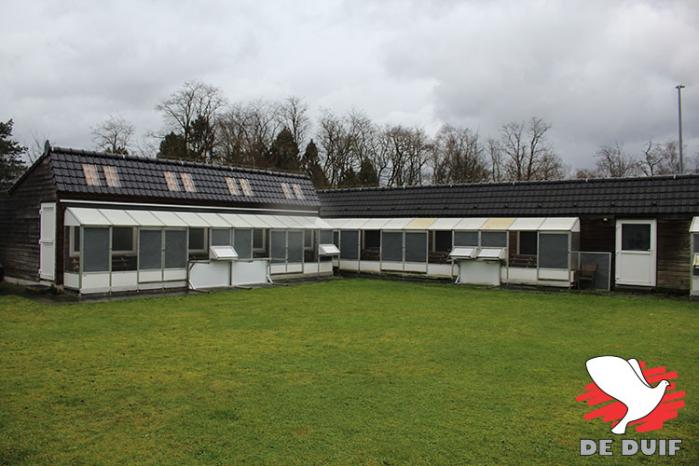 De hokken van Gregory Bekaert (Team Hooymans.BE) te Mol.