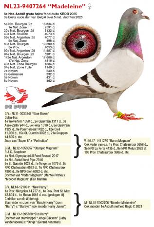 NL23-9407264 “Madeleine”