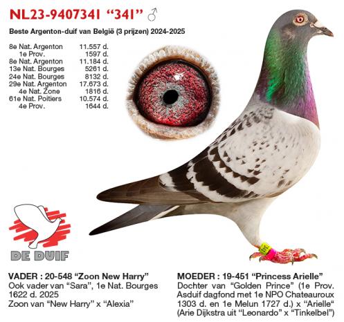NL23-9407341 “341”