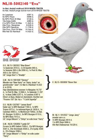 NL18-5002140 “Eva”