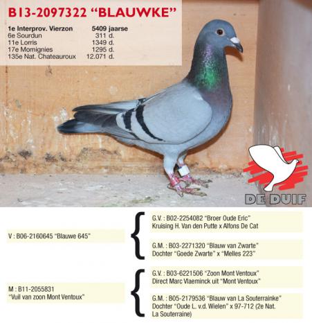 B13-2097322 Blauwke