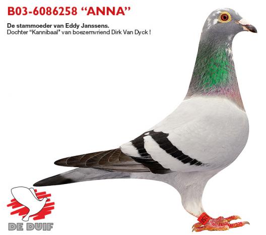 BE03-6086258 "Anna"