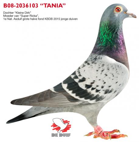 B08-2036103 "Tania"