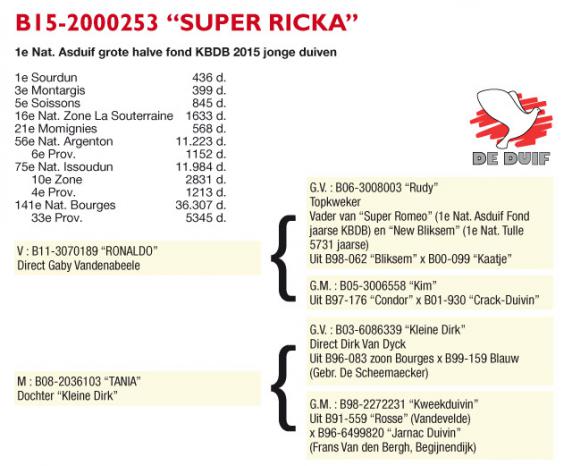 B15-2000253 "Super-Ricka"