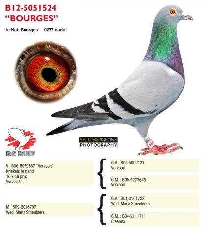 B12-5051524  ''Bourges'' B12-5051524 ''Bourges''