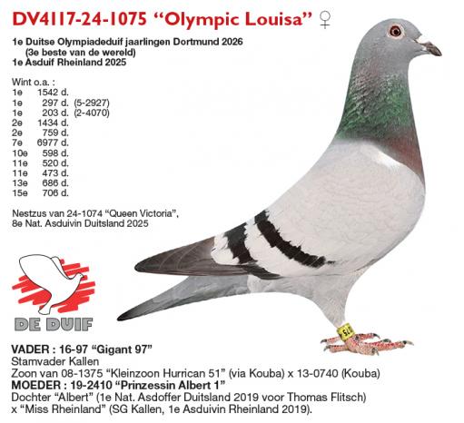 DV4117-24-1075 “Olympic Louisa”