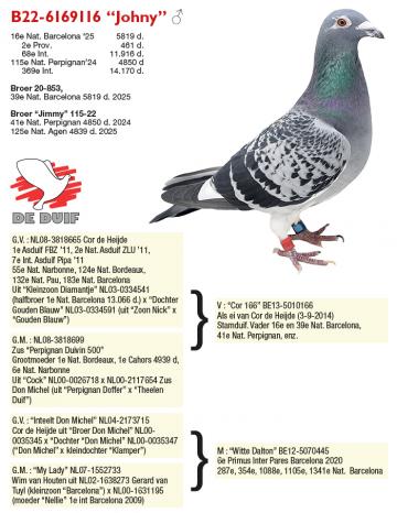 B22-6169116 “Johny”