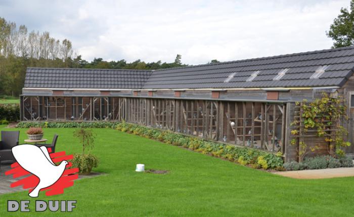 De hokken achter het ouderlijk huis waarop sterk gepresteerd werd.