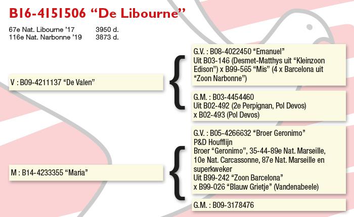 B16-4151506 “De Libourne”