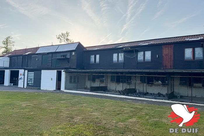 De hokken van Erik Limbourg te Brussegem.