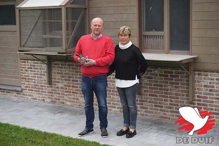 Anthony en Chantal Maes viel dit jaar de eer te beurt, ze winnen de 1e Nationale Asduif Fond oude duiven KBDB 2019.