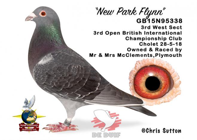 GB15N95338 "New Park Flynn"
