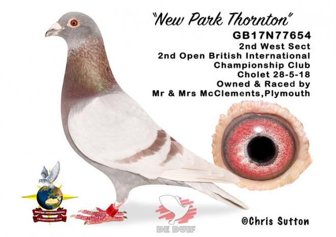 GB17N77654 "New Park Thornton"