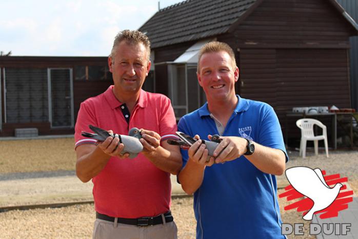 Ronny Menten wint 1e Nationaal Bourges. (fotografie: Yellow Pigeons)