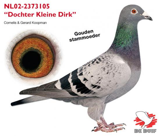 NL02-2373105 "Dochter Kleine Dirk"