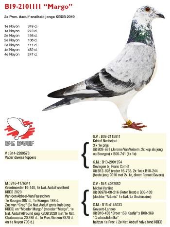 B19-2101111 “Margo”