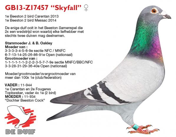 GB13-Z17457 “Skyfall”