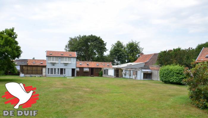 Overzicht van de hokken in Zedelgem. (Fotografie: Yellow Pigeons)