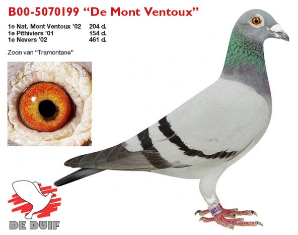 B00-5070199 “De Mont Ventoux”