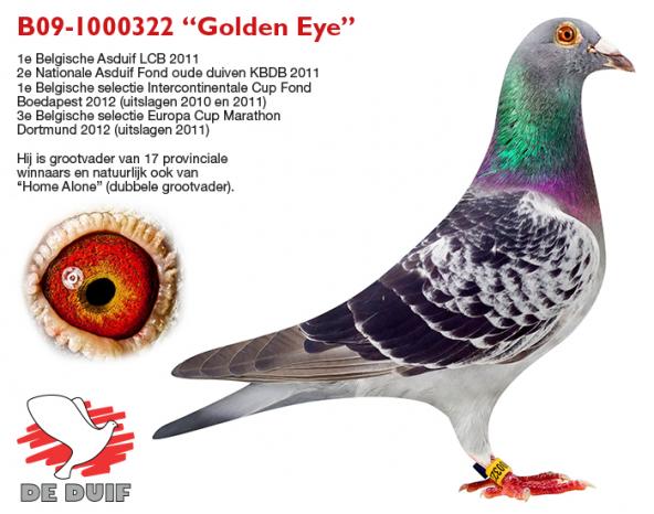B09-1000322 “Golden Eye”