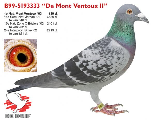 B99-5193333 “De Mont Ventoux II”