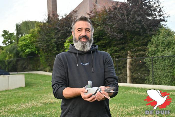 Peter Pillet wint niet alleen nationaal Agen bij de jaarse duiven, maar heeft ook de snelste van alle 9809 Belgische duiven.