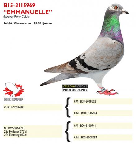BE15-3115969 "Emmanuelle"