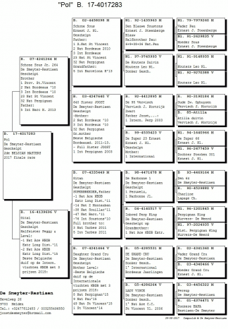 De Smeyter-Restiaen - JunJie Xu: pedigree "Pol", 2e prijs