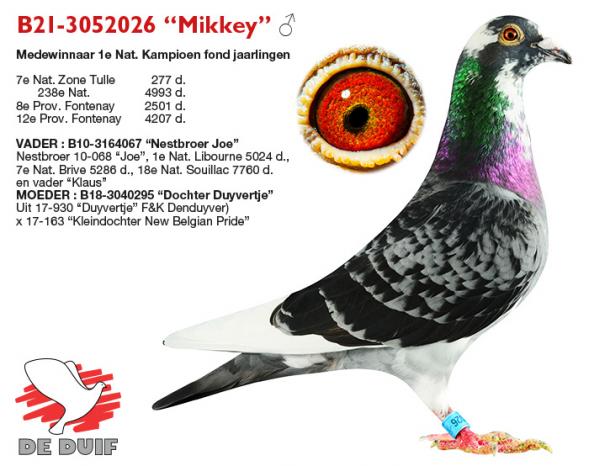 B21-3052026 “Mikkey”