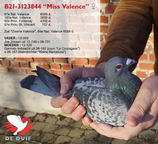 B21-3123844 “Miss Valence”