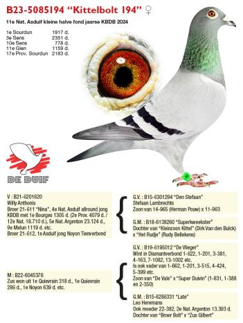 B23-5085194 “Kittelbolt 194”