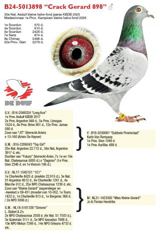 B24-5013898 “Crack Gerard 898”