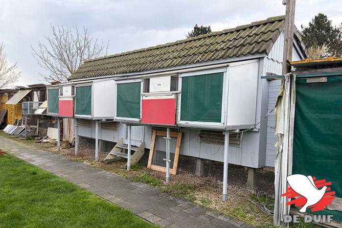 De hokken van Stijn en Jeroen Rans in Wijgmaal.