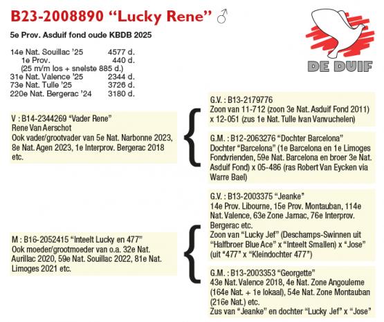 B23-2008890 “Lucky Rene”