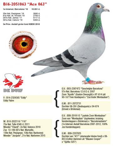 B16-2051063 “Ace 063”, winnaar Internationaal Barcelona.