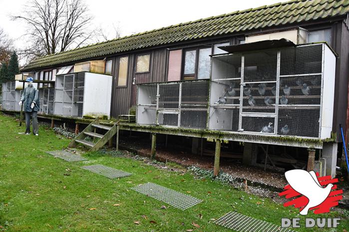 Het vlieghok in Grote-Spouwen. V.l.n.r. twee hokken voor de weduwnaars, een hok voor de duivinnen, een hok voor de late jongen en een hok jonge duiven.