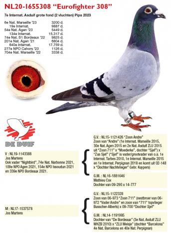 NL20-1655308 “Eurofighter 308”